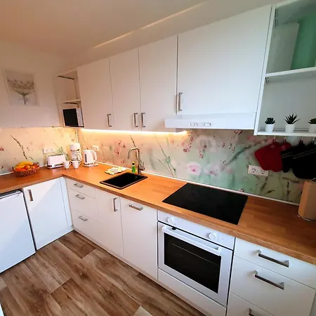 Апартаменты Radfreundliches Wohlfuehl-apartment Mit Terrasse Und Parkplatz - Woody Шверин